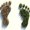 Der ökologische Fußabdruck